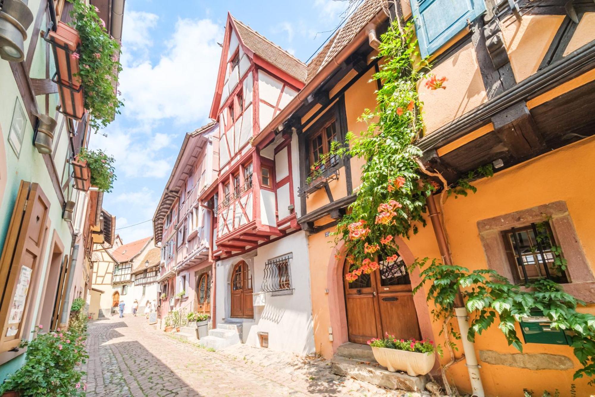 L Oriel Du Rempart Nord Villa Eguisheim Eksteriør bilde